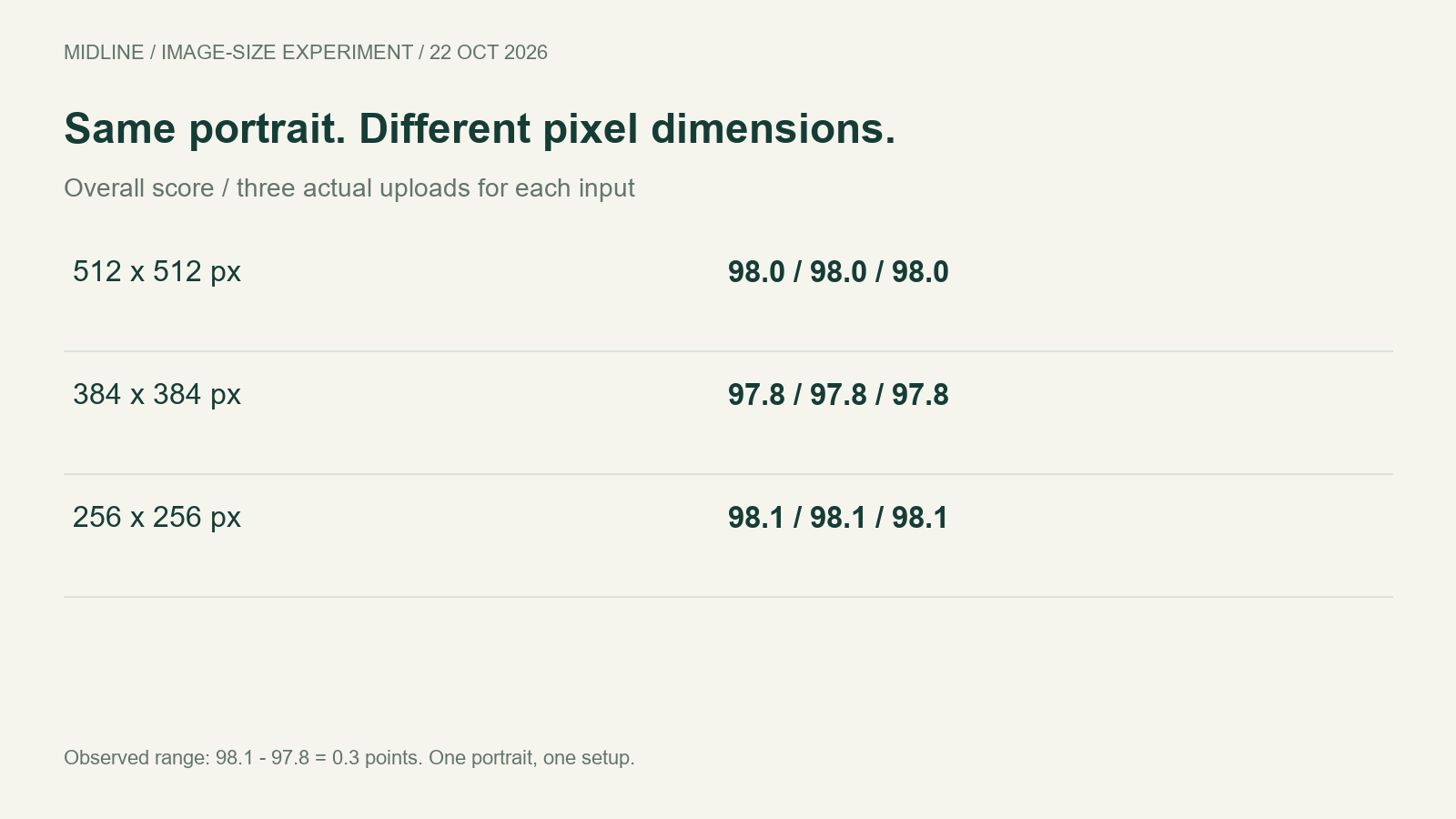 Three sizes and their three repeated overall scores: 512 pixels 98.0, 384 pixels 97.8, 256 pixels 98.1