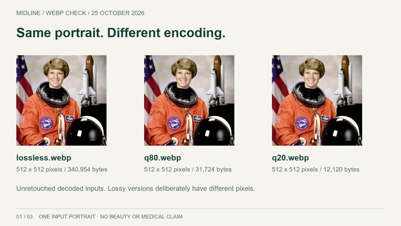 Three unchanged-size inputs; lossy encodings intentionally change decoded pixels.